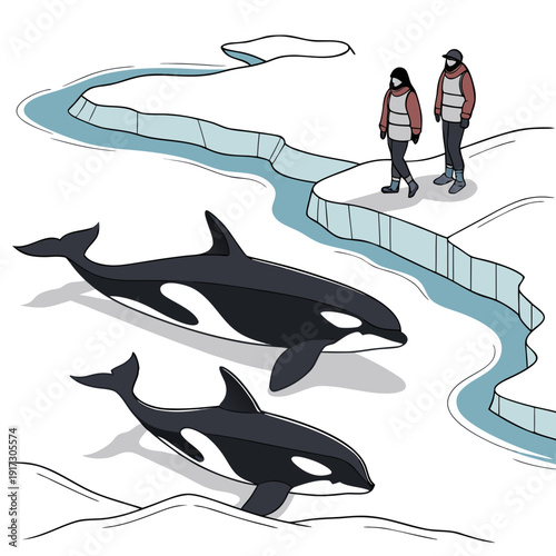 Orcas swimming in icy waters with two people on ice floe