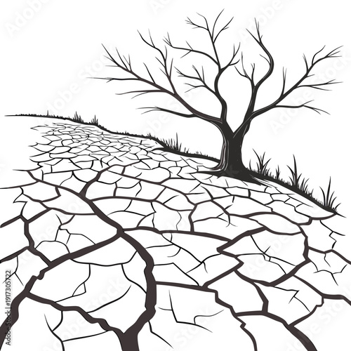 Cracked dry earth with bare tree cracked earth dry ground