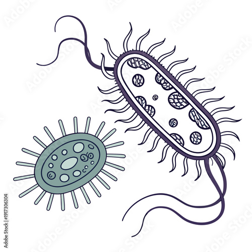 Bacteria and virus microorganisms microbe cell