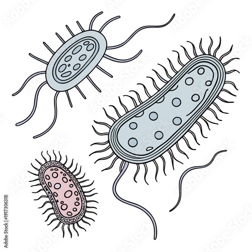 Bacteria with flagella and pili on white background