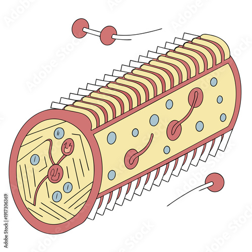 Hyper realistic of a ciliated epithelial cell with microvilli and cilia