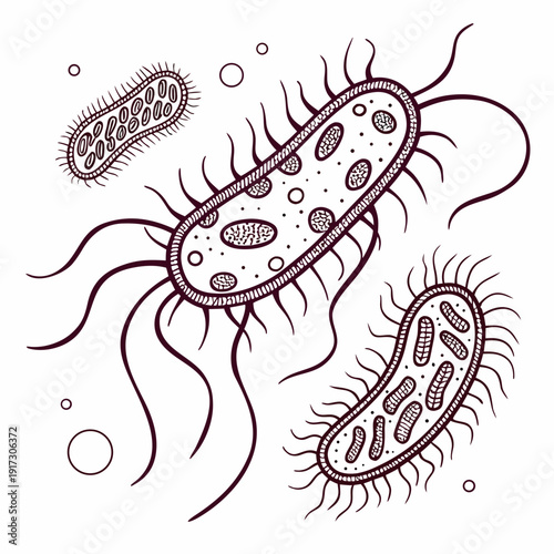 Hyper detailed showing a cluster of bacteria microorganisms