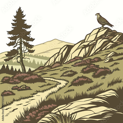 Brown hawk standing on rocky outcrop in rugged upland landscape with tree and heather