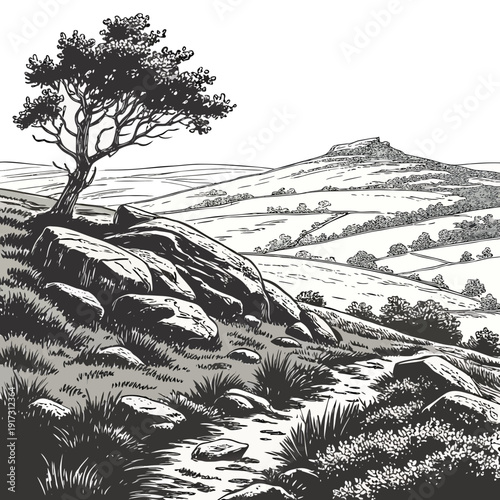 Black and white of a tree on a rocky hillside rolling hills