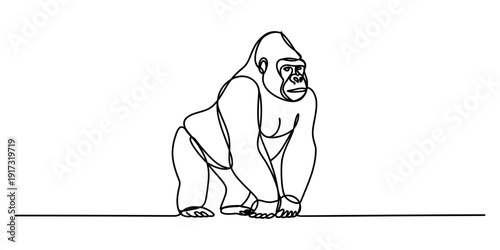 Continuous line drawing of a powerful gorilla standing on all fours in a minimalist style. Vector, illustration