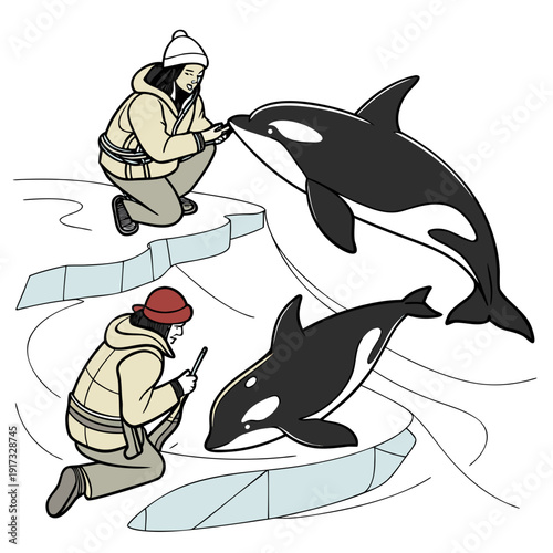 Researchers interacting with orcas on melting ice polar