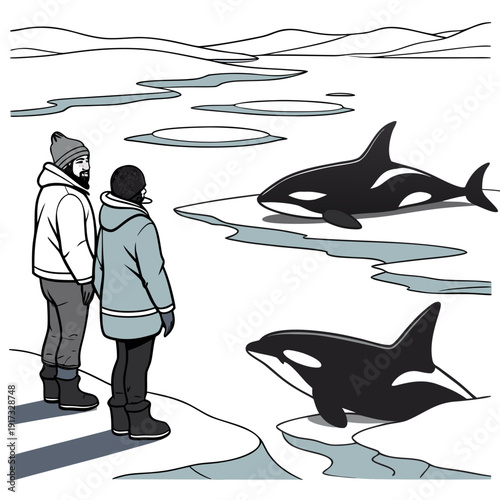 Orca whales swimming in icy waters observed by two people