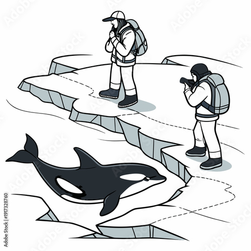 Of polar explorers observing orca in icy waters black and white