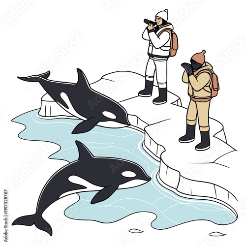 Of polar explorers observing orcas on ice floes wildlife observation