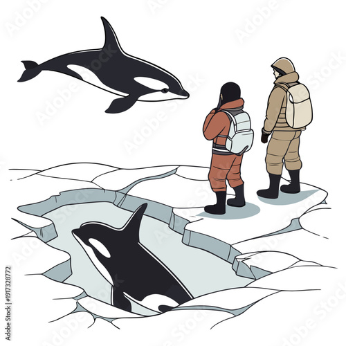 Polar explorers observe orcas on ice floe arctic winter clothing