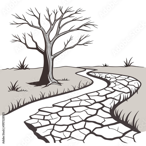 Dry cracked earth path beside bare tree desert
