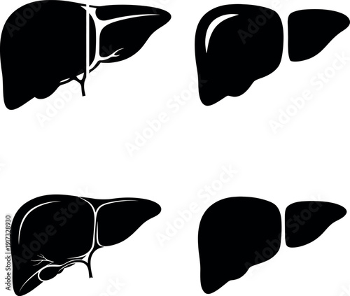 Human liver silhouette icon collection. Includes liver anatomy, organ, medical, health, and internal body part symbols. Created in solid black vector style with white background.