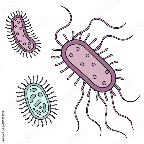 Bacteria with flagella and cilia in pink and blue microorganisms