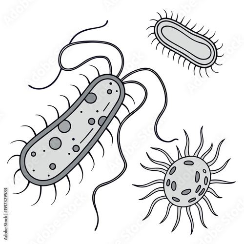 Of bacteria and germs microorganisms microbes biology