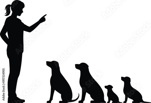 Silhouette of woman training dogs in obedience class, female trainer giving command to sitting pets, animal behavior concept isolated on white background.