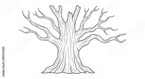 Bare Tree with Thick Trunk.