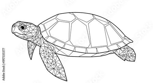 Black and White Sea Turtle Illustration.