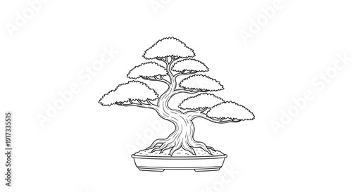 Bonsai Tree Simple Line Drawing.