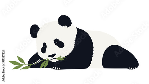 Beautiful giant panda lying down on the ground and calmly eating green bamboo leaves in its natural forest habitat or zoo.
