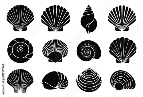 Line art seashell set featuring different types of marine mollusk shells for nature inspired designs