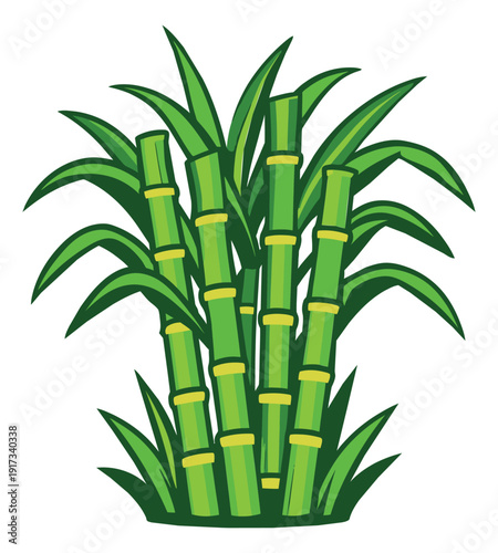 Cartoon illustration of sugarcane depicting fresh stalks and leaves for agricultural and food industry designs