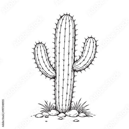 A clean vector design of a cactus plant in a desert setting, using simple forms to express warmth, dryness, and a serene outdoor environment.