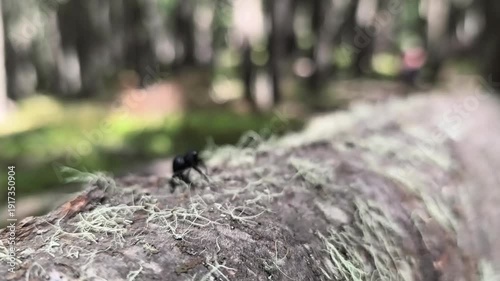 Patagonia National Park in Chile