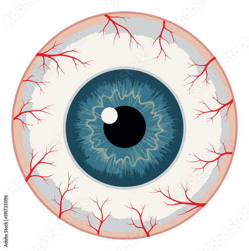 Flat illustration of a bloodshot eyeball depicting red veins for medical and health concepts