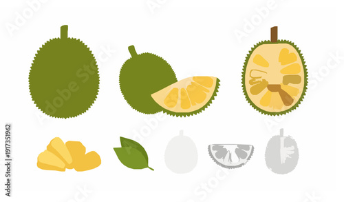 Cute cartoon jackfruit flat vector illustration fruit character set
