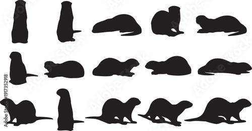 Ramadan black and white vector illustration with crescent moon and hanging stars. Calligraphy text design for Islamic holy month celebration.