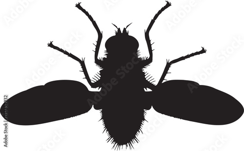 Black silhouette of a common housefly, depicted from a top-down perspective with detailed body segments, legs, and wings, isolated on a transparent background.