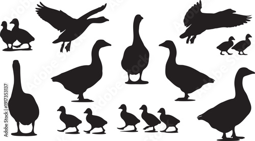 Ramadan black and white vector illustration with crescent moon and hanging stars. Calligraphy text design for Islamic holy month celebration.