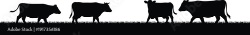 Black silhouette of four cows standing on grass against a white background Keywords: cow, cattle, silhouette, standing, grass
