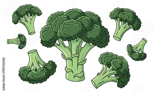 Hand drawn line art vegetable set featuring broccoli and florets for healthy eating