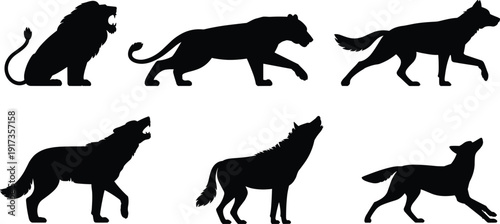 Wild Lion and Wolf Silhouette Collection in Different Poses, Roaring, Walking and Howling Wildlife Vector Illustration Set