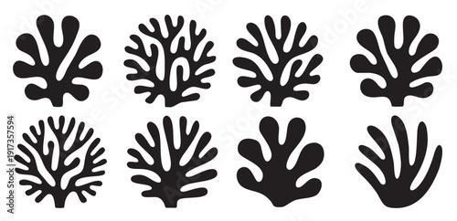 abstract black and white stylized coral reef leaf icons set