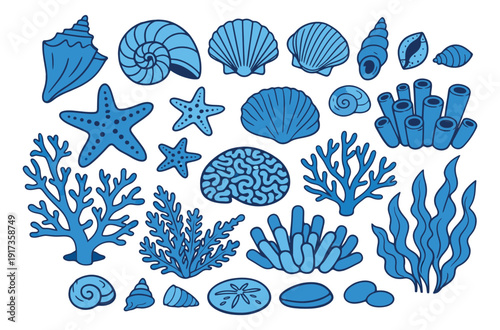 Hand drawn ocean elements set featuring various seashells, starfish, coral, and seaweed for summer designs