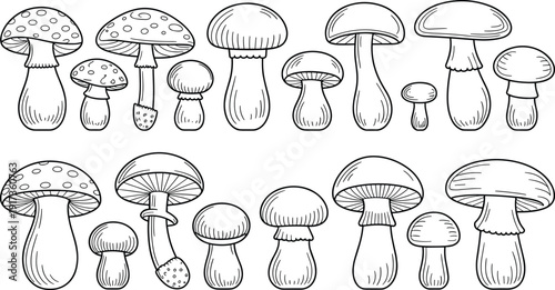 Hand Drawn Mushroom Collection with Various Forest Fungi Isolated on White Background Botanical Line Art Illustration Set