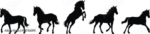 Horse Silhouette Collection with Running, Walking and Rearing Stallion Poses Black Vector Illustration Set Isolated on White