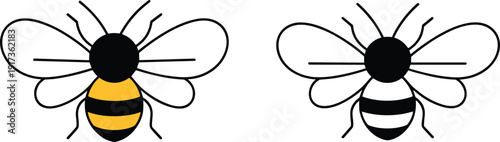 Two Cartoon Bees One Colored One Outline With Transparent Wings Keywords: bee, insect, bug, animal, nature, flying, wing