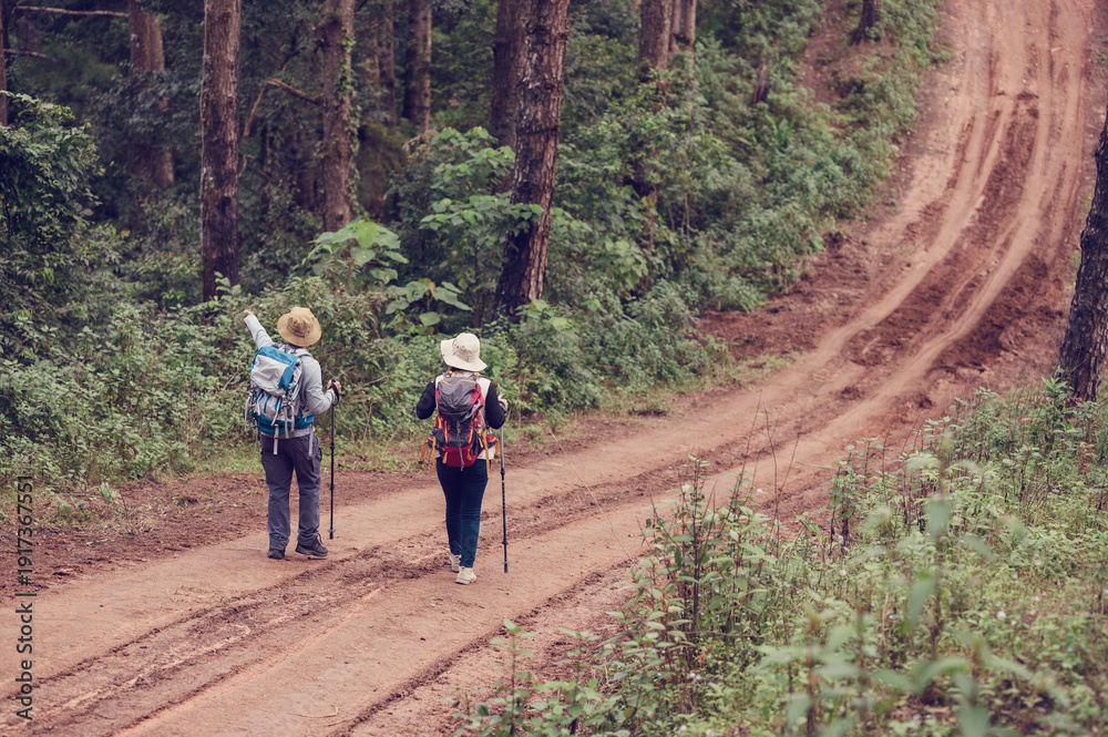 Obraz premium During holidays, tourists flock to hike in the forests and mountains of Asia.