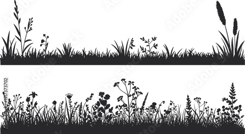 Black silhouettes of wild grasses and wildflowers on a white background Keywords: grass, wildflower, meadow, field, nature