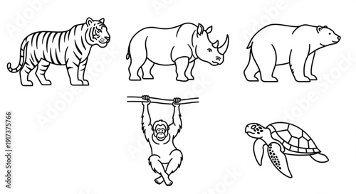 Endangered animals including tiger rhinoceros bear monkey and turtle in a line drawing style