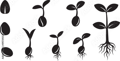 Plant growth stages from seed to sprout illustration set