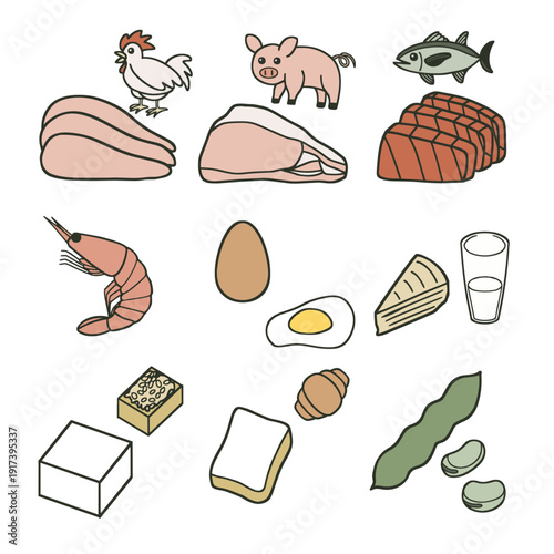 良質なタンパク質を含む食材まとめ 栄養バランスと健康