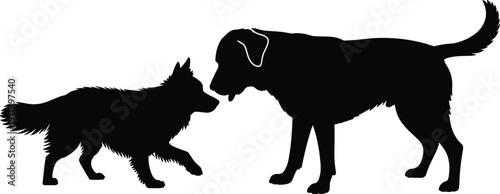 Black vector silhouette of two dogs interacting and sniffing each other for pet care animal behavior training veterinary services and domestic canine branding