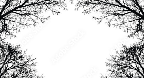 A serene landscape with bare trees framing a white background in a symmetrical composition.