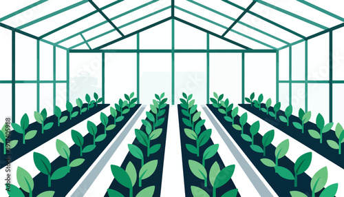Rows of green plants grow inside a greenhouse with a geometric structure