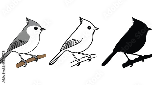 Three distinct depictions of a small bird perched on a branch: a colored illustration, a sketch, and a silhouette.