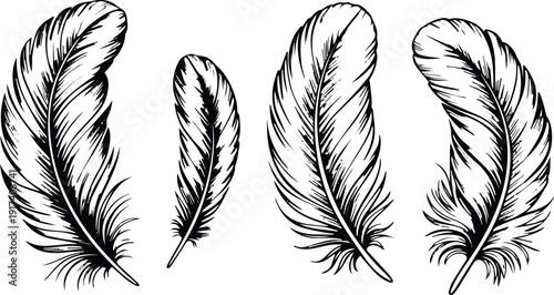 Minimal feather illustration evoking calm and creativity